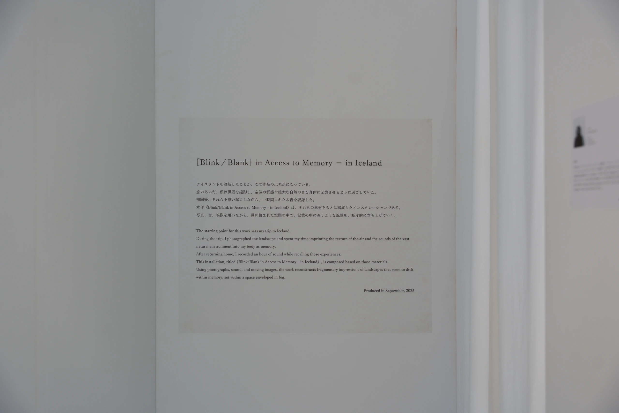 [Blink⁄Blank] in Access to Memory － in Iceland