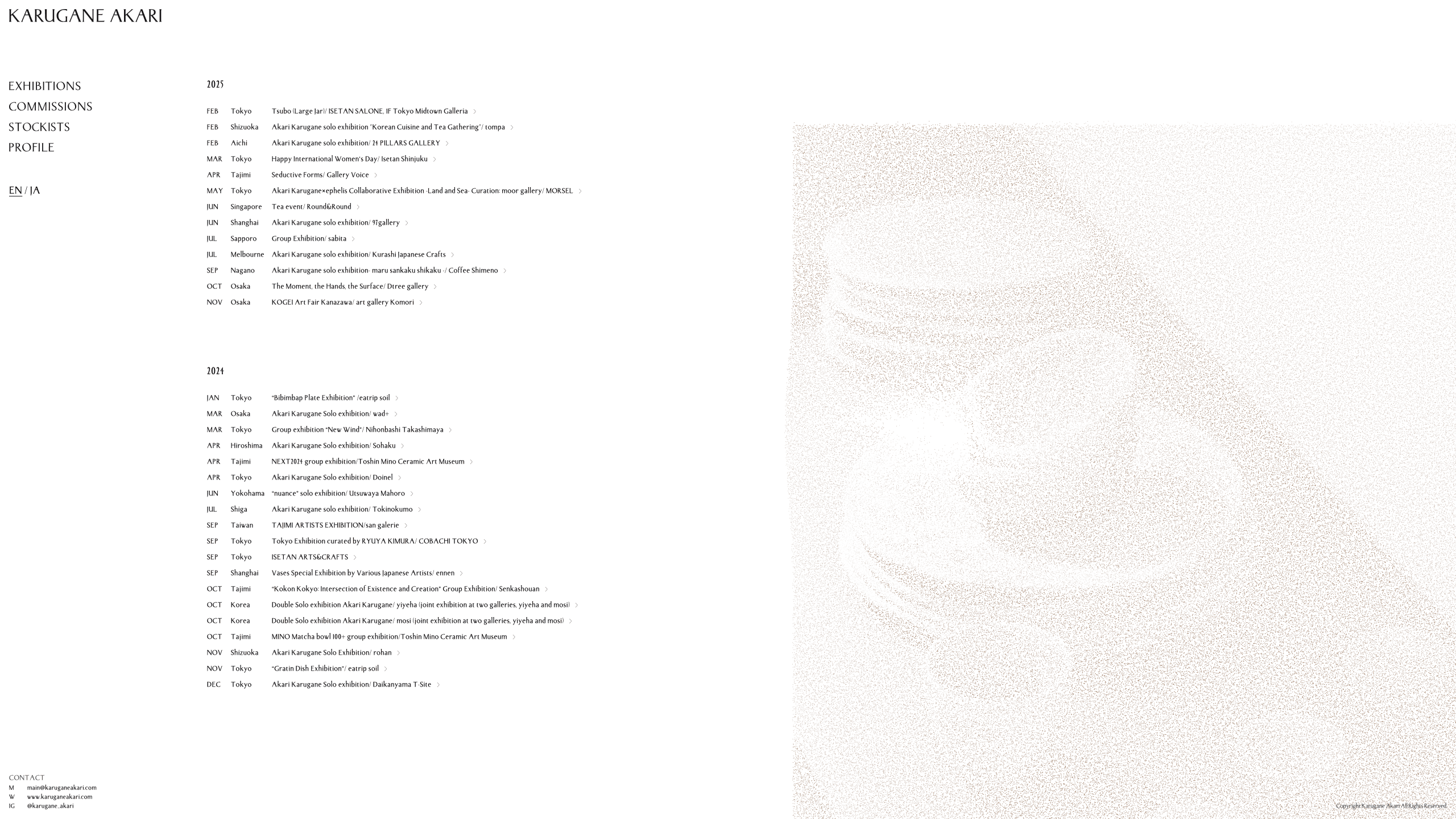 Karugane Akari - Website